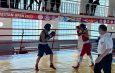 В Оше стартовал чемпионат города по боксу среди молодёжи