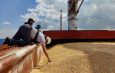 Госдеп США поприветствовал продление зерновой сделки