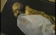 На Алтае раскопали двухметрового энеолитического человека