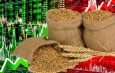Страны БРИКС поддержали инициативу РФ по созданию зерновой биржи