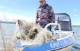 Со дна Иссык-Куля за неделю извлекли почти 16 км рыболовных сетей
